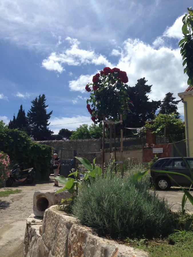 Serendipity Dubrovnik Centre-Free Parking المظهر الخارجي الصورة